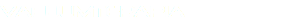 VACUUMTERAPIA